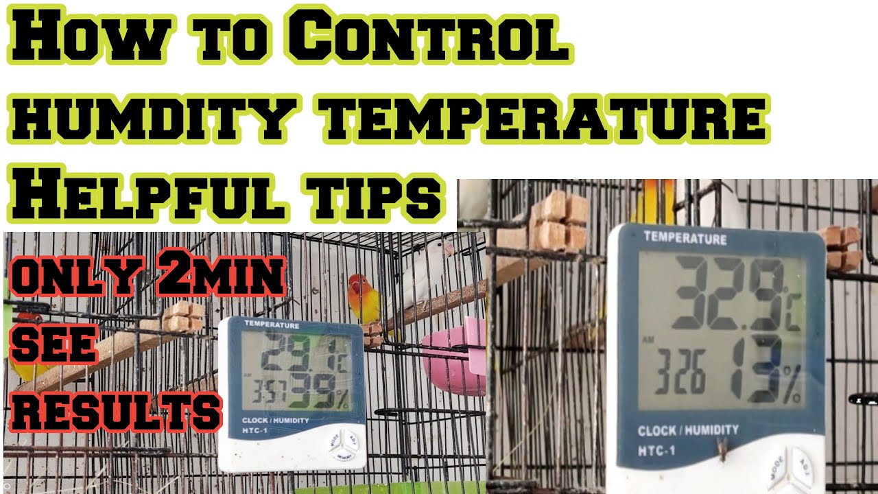 How To control Humdity and temperature birds room Urdu/hindi #lovebirds ...