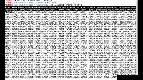 SecurityTube Metasploit Framework Expert Part 16