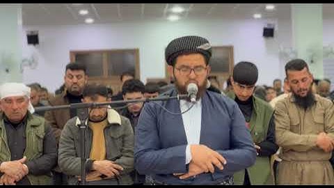 تلاوة خاشعة من سورة التحريم / القارئ دلشاد احمد الكردي