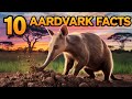 10 facts about Aardvarks