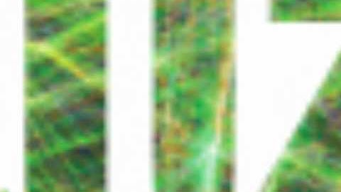 Visualizations Text Experiment 2