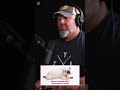 What does it mean if a dog sleeps in the Superman position #petcare #podcast