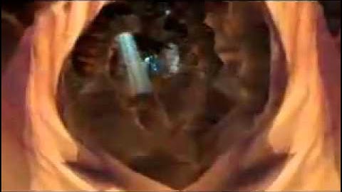 Storm Hawk Sky Rides DEMO (2).mov