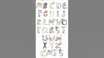 Alphabet Lore but All is a Cats #alphabetlore #alphabet