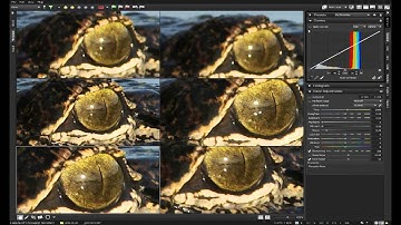 Webinar: Learn how to speed up your photo workflow with PaintShop Pro and AfterShot Pro