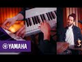 P225  pseries sessions part 2  yamaha music