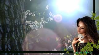 Plaisir Damour  Richard Clayderman