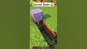 Minecraft Secret Door😱 #shorts