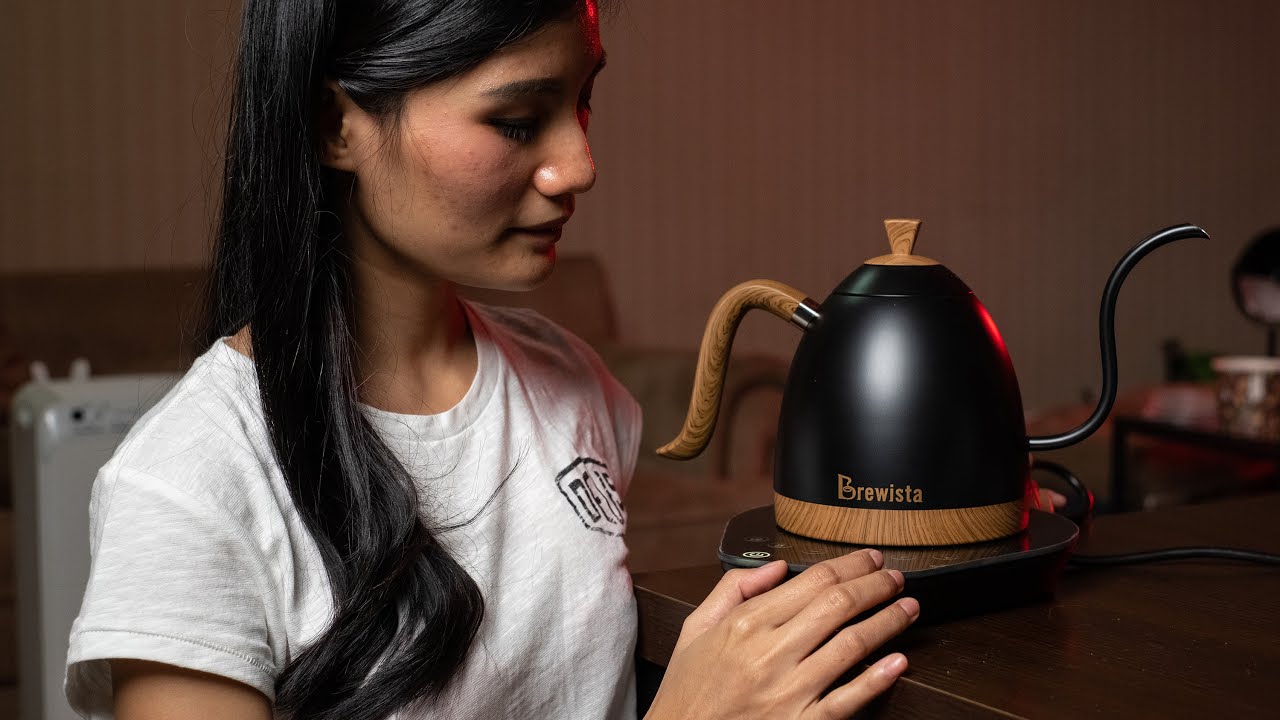 New Brewista Artisan Gooseneck Kettle 600ml 