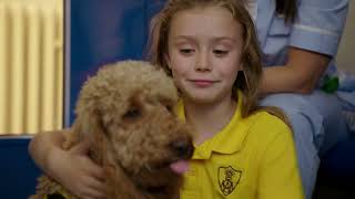 Waffle And The Birthday Wish Waffle The Wonderdog Live Action Videos For Kids Wildbrain Zigzag