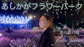 大阪府立花の文化園でイルミネーションイベント はなぶんサンクスイルミ 旅うさぎと光の国 21年 Youtube