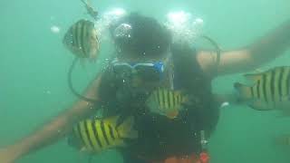 Scuba Diving - Sushanth