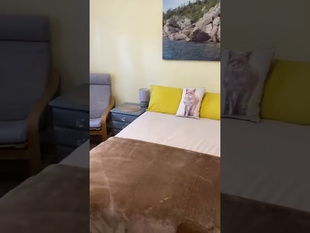 Video 1: