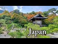 Beautiful scenery of japan travel travelvlog japan