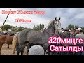 Ноокат Жылкы Базары 13.06.21