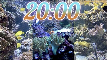 20 Minute Aquarium Timer/Countdown With Relaxing Music 🐟🐠|Cuenta Regresiva de 20 Minutos con Música.