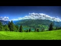لفقيه الغياثي11 