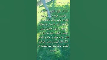 راحة نفسية مع القرآن الكريم #القرآن_الكريم #المصحف #راحة_نفسية