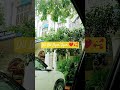 Dil Bil Pyar Vyar Mai kya Janu #song #popularsong #shorts #hitsong #trending