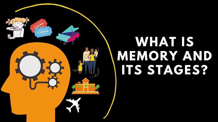 What are the 5 main steps of the memory process?