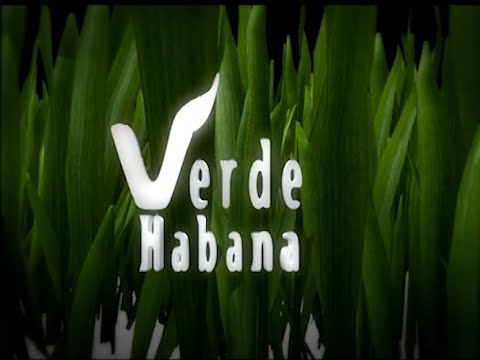 Programa: Verde Habana 19/06/2022 (Plantas Medicinales)