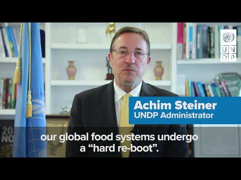 Statement by Achim Steiner, UNDP Administrator, at the UN Food Systems Summit