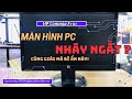 Sửa màn hình Pc nháy ngắt cùng giải mã bí ẩn này HP compaq f191