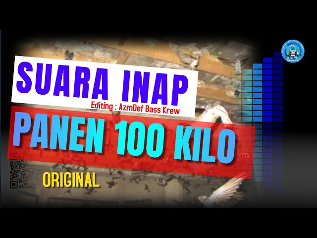 suara inap walet original mp3 II PANEN 100 KILO class=