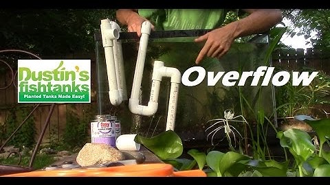 How to build a DIY Aquarium Overflow: Aquarium Plant Species Stuffed Video