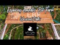 Explore The World Of Sustainable Farming At The Emirates Bio Farm U A E Organic Farm In U A E Explore The World Of Sustainable Farming At The Emirates Bio Farm U A E Organic Farm In U A E