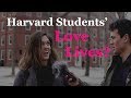 Roving Reporter: Do Harvard students have love lives?