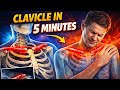 Clavicle in 5 Minutes | Complete Anatomy | Attachments | * CLINICAL CONDITIONS *