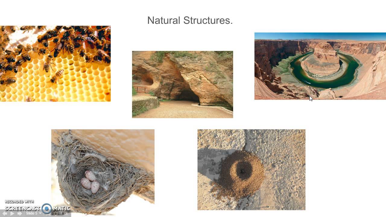 What are natural structures?