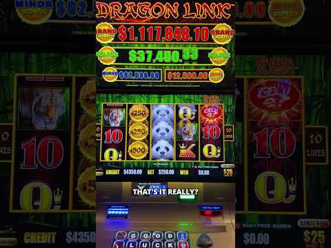 Day 12: Betting $1 Million to WIN $1 Million 🐼 Let's try $250/spin again! #casino #slots #jackpot