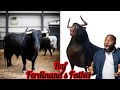 Ferdinand characters in real life 2023all characters in real life    bulls ferdinandovalencia