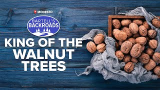 That's a lot of nuts | Bartell's Backroads
