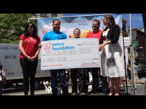 Video: Petco's Dog Days of the Summer Úspech domov v San Diegu