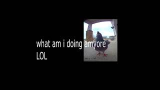 What Do I Even Le This