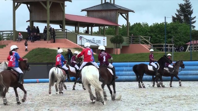 Sports équestres : l'engouement toujours au rendez-vous pour le Grand  Tournoi de Lamotte-Beuvron