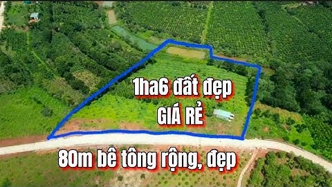 1ha6 đất rẻ đắk nông,mặt đường bê tông siêu đẹp. Đt:0929339929 #datredaknong #datdaknong
