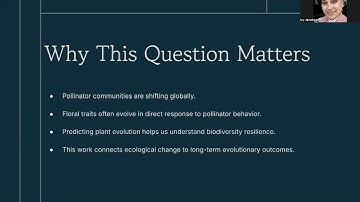 VIDEO AD FOR NEW RESEARCH