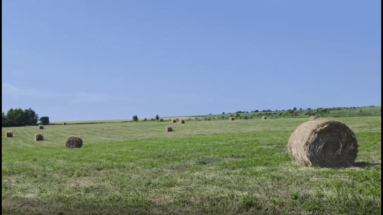 52.  Заготовка сена, сенокос 2025.