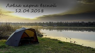 Ловля карпа весной v18.01 Ловля карпа весной v18.01