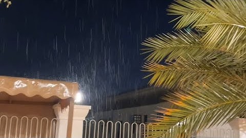 وسط هطول الأمطار | القارئ عمر الدريويز يحبر من سورة يوسف - ليلة 14 رمضان 1445هـ .