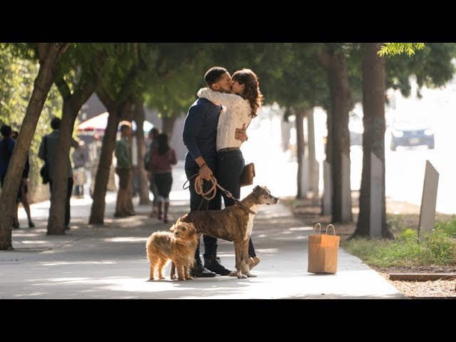 Par amour des chiens - Au cinéma dès le 10 août