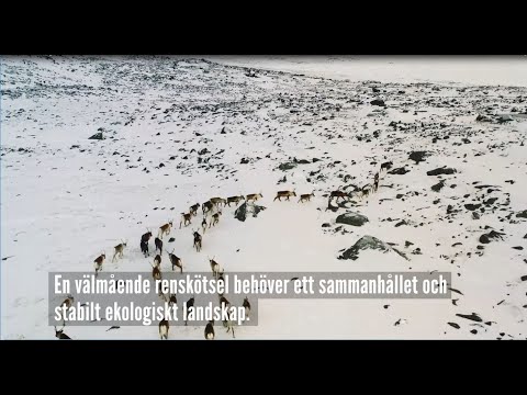 Video: Grön Gata Av Det Nationella Landskapet