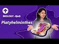Platyhelminthes | Hindi | Diversity In Living Organisms | Biology| Class 9