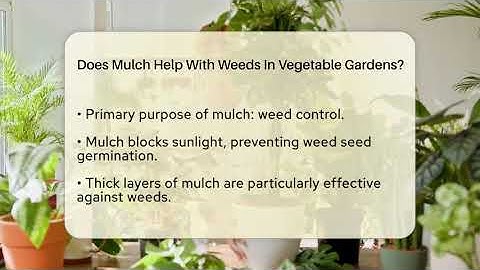 Does Mulch Help With Weeds In Vegetable Gardens? - The Plant Enthusiast