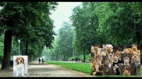 [VBA기초]엑셀 개체 1부 - 엑셀의 몸체는 무엇으로 이뤄졌나요?