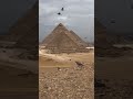 Pyramid Of Giza #fyp #shortsyoutube #youtubeshort #viral #pyramids #pyramidsofgiza